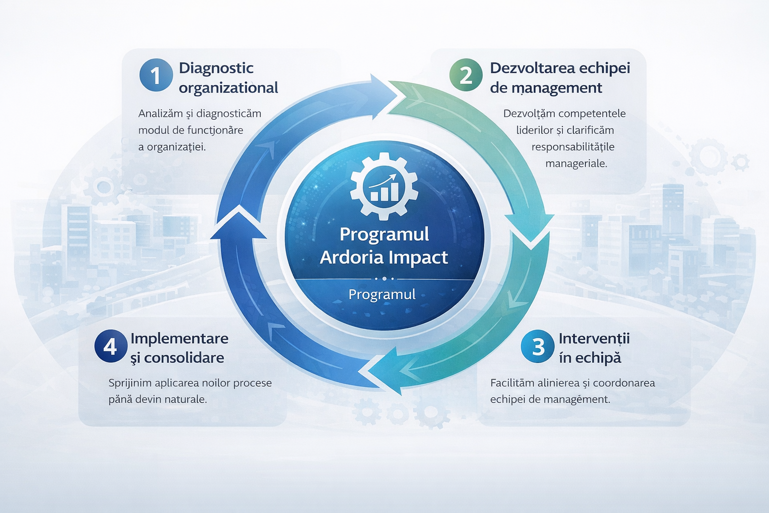 Fluxul programului Ardoria Impact